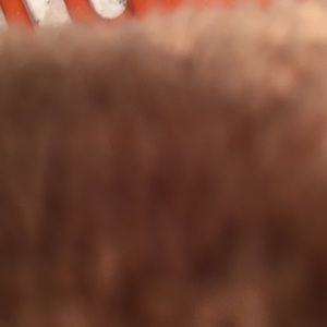 Meet your Posher, Jashayla